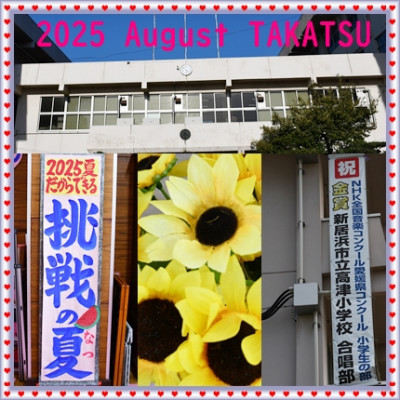 ８月トップ一枚