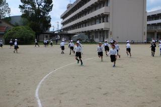 pict-IMG_6449