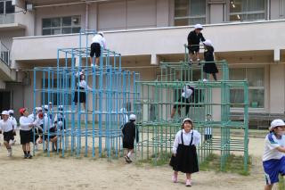 pict-IMG_6447