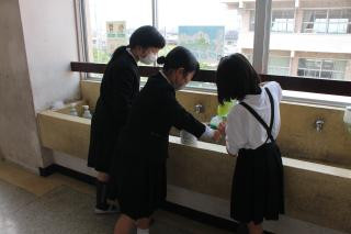 pict-IMG_6469