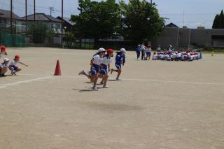 pict-IMG_6504