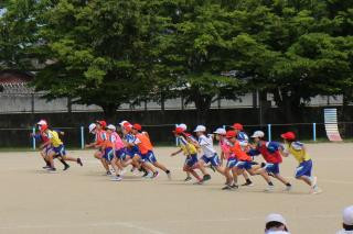 pict-IMG_6523