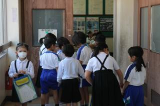 pict-IMG_6528