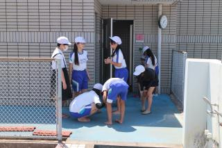 pict-IMG_6542