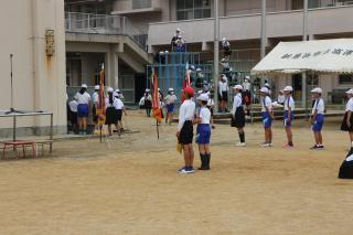 pict-IMG_6565