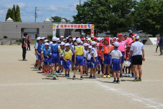 pict-IMG_6599