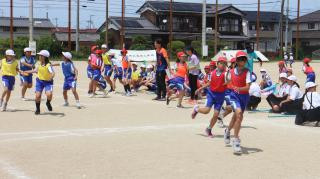 pict-IMG_6606