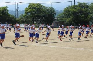 pict-IMG_6634