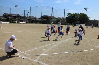 pict-IMG_6639
