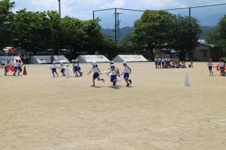pict-IMG_6646
