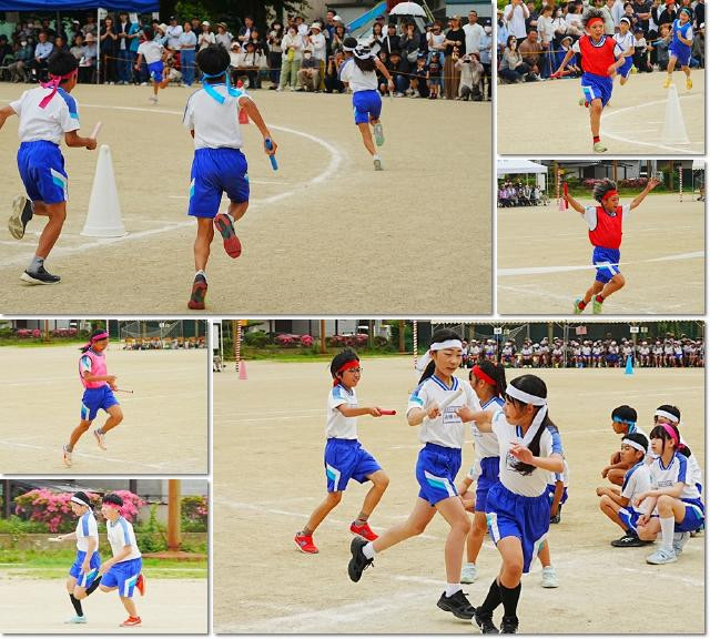 pict-0531　６年５