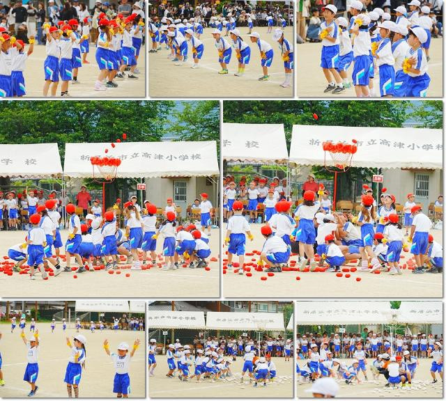 pict-0531　１年２