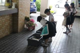 pict-IMG_6758