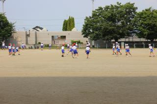 pict-IMG_6786
