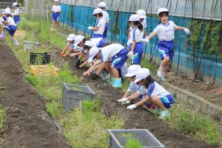 pict-IMG_6816