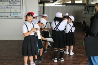 pict-IMG_6833