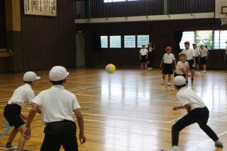 pict-IMG_6873