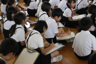 pict-IMG_6894