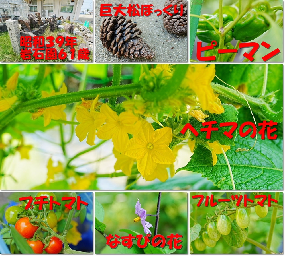0703　授業風景５