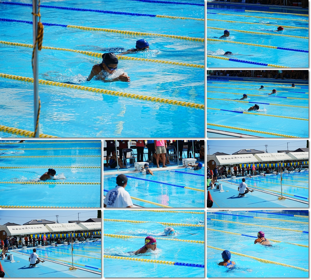 0723 市小学校水泳大会5