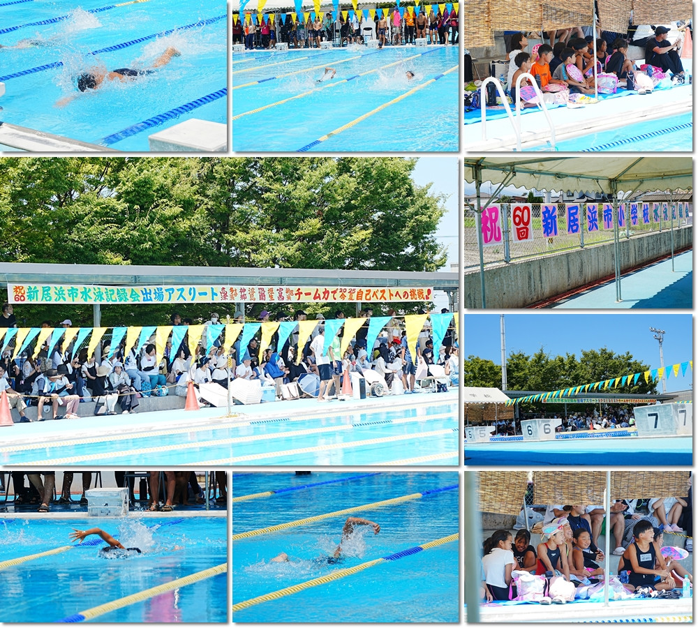 0723 市小学校水泳大会16