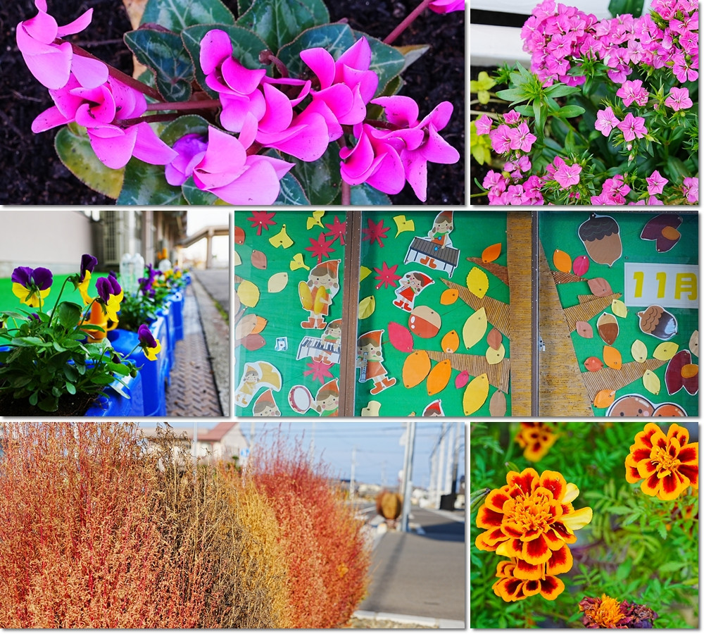 1127　高津小紅葉狩り４