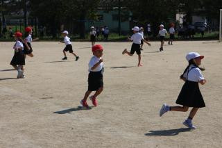 pict-IMG_7071
