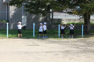 pict-IMG_7073