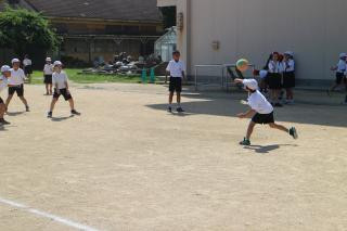pict-IMG_7074